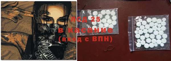 ешки Горняк