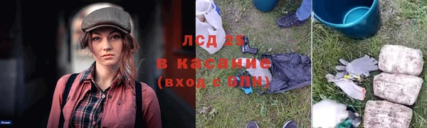 ешки Горняк
