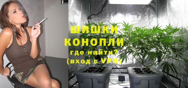 дурь Гусиноозёрск