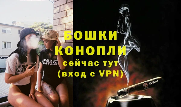 ешки Горняк