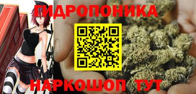 индика Заводоуковск
