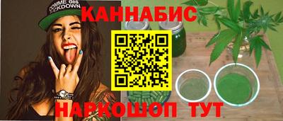 индика Заводоуковск