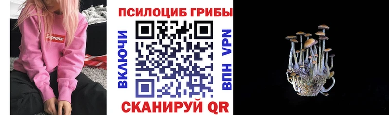 Псилоцибиновые грибы Magic Shrooms  Егорьевск 