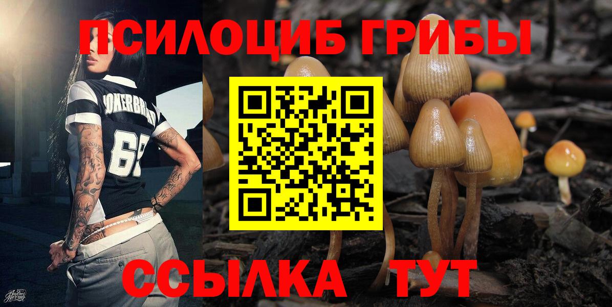 Псилоцибиновые грибы GOLDEN TEACHER Егорьевск